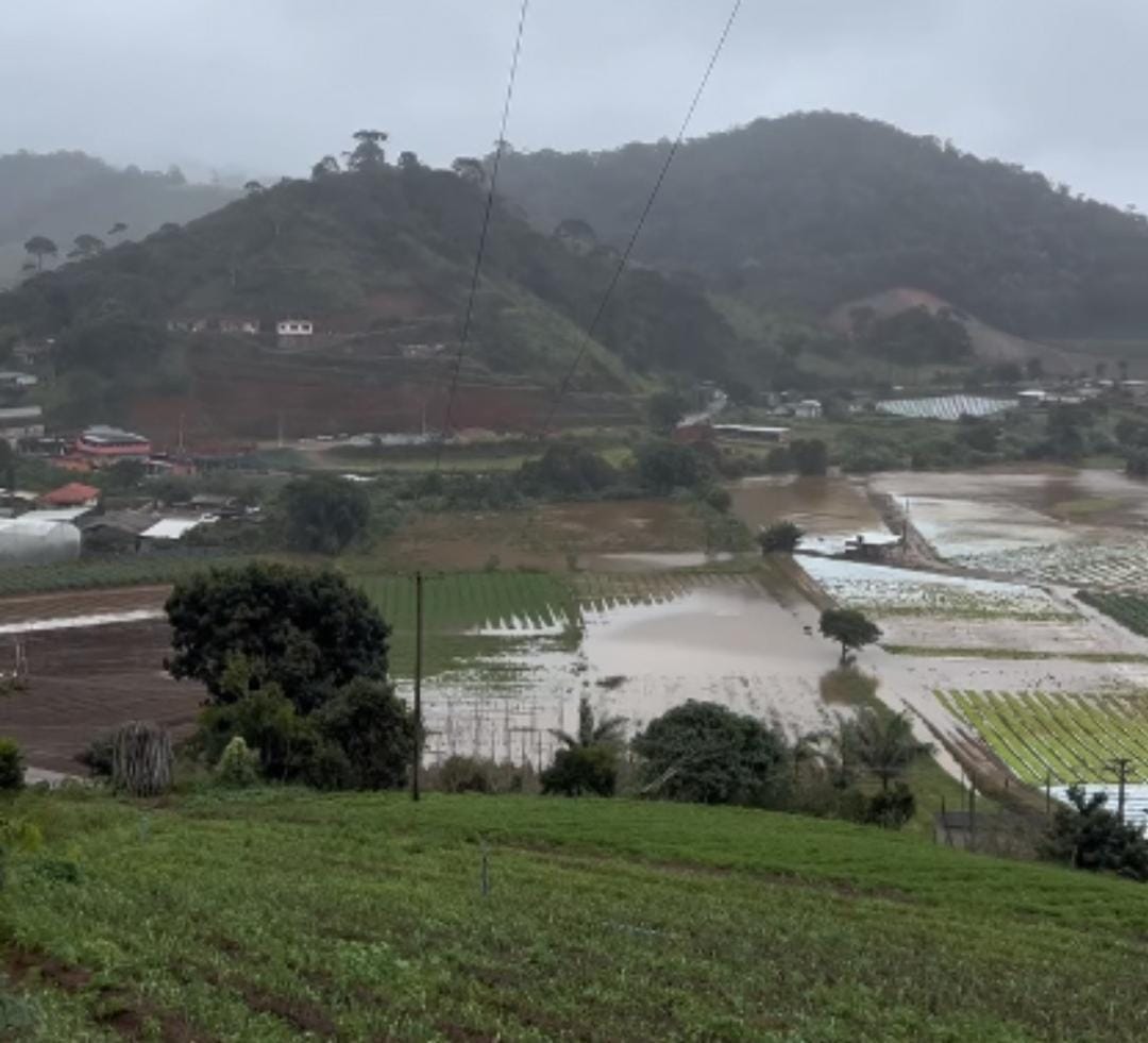 Prejuízo de agricultores do 3º distrito é estimado em R$ 1 milhão